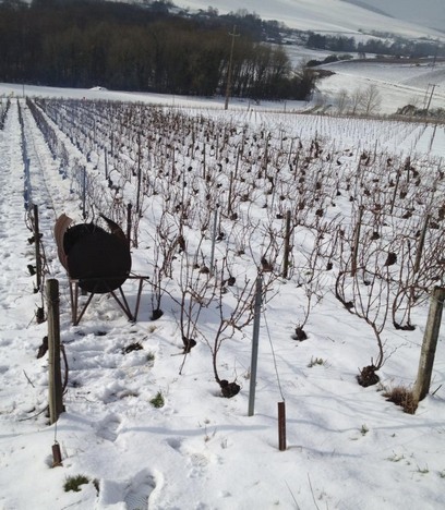 Champmagne vineyard - Neige - Snow - Mars 2013